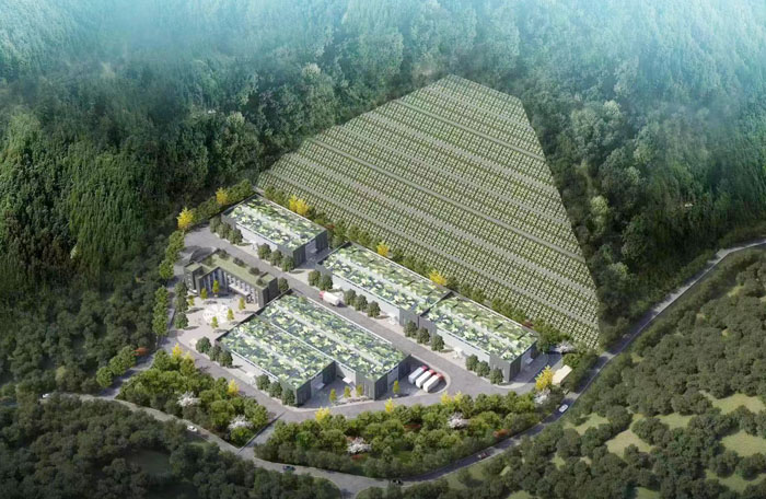 热烈恭喜十堰好色先生TV下载无限看片APP化工新扩生产基地即将动工！